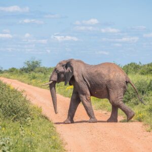 Report Says Kenyan Government to Allow Gemstone Mining Inside National Parks