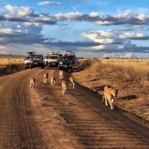 Report Says Kenyan Government to Allow Gemstone Mining Inside National Parks