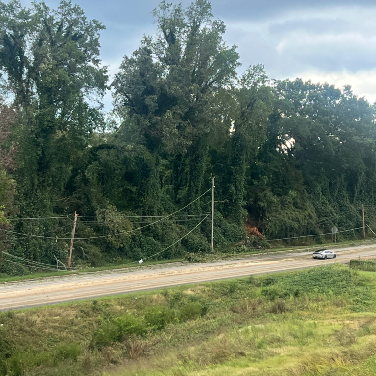 Downed power lines in Spartanburg, S.C. Source: Kirsten Geary of Ray Griffiths, Inc.